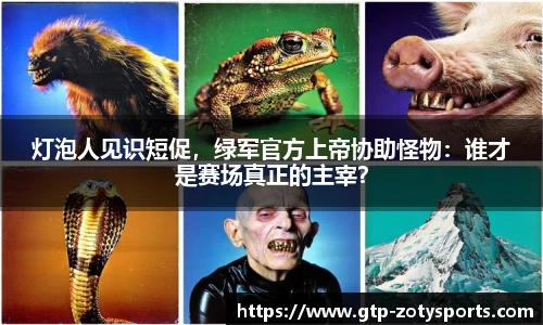 Zoty中欧体育